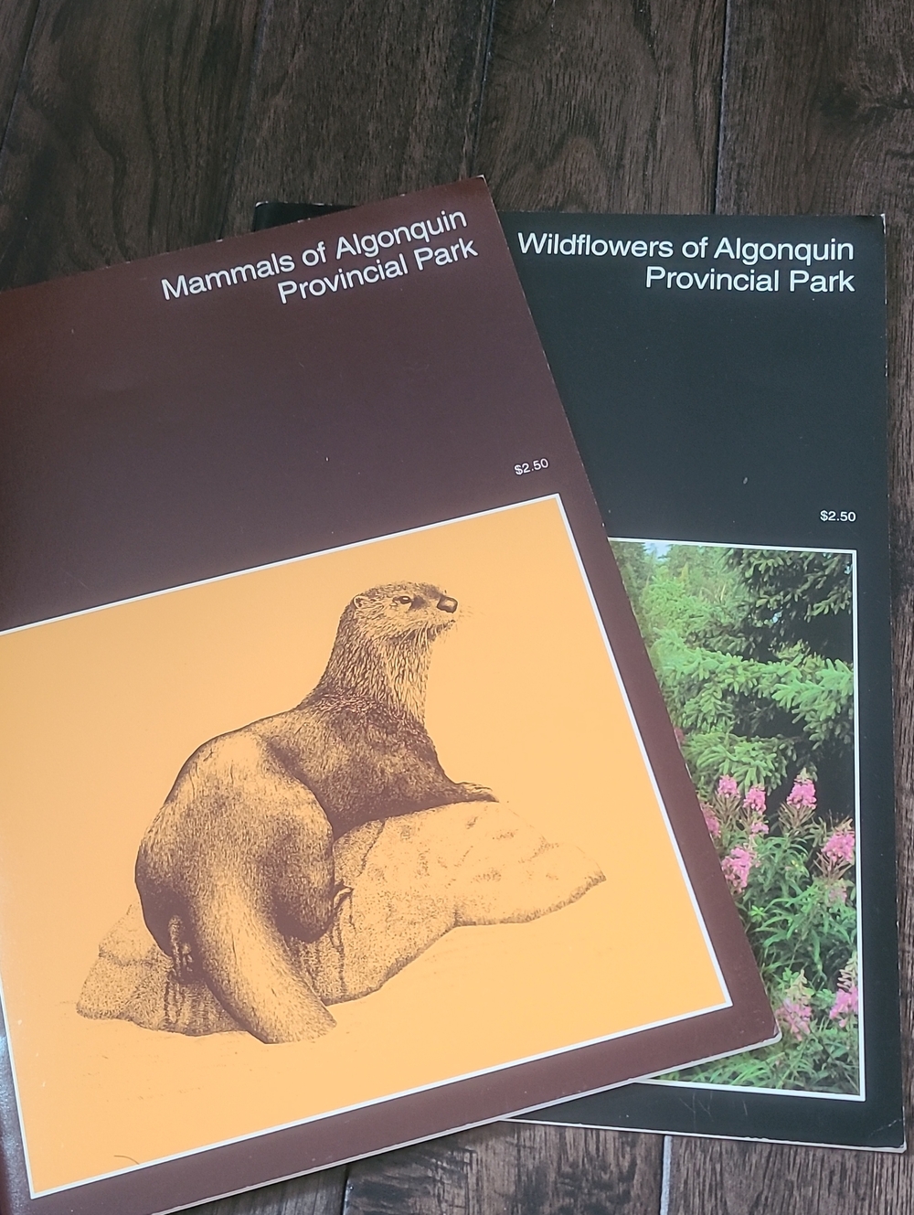 Friends of Algonquin Park: Mammals & Wildflowers